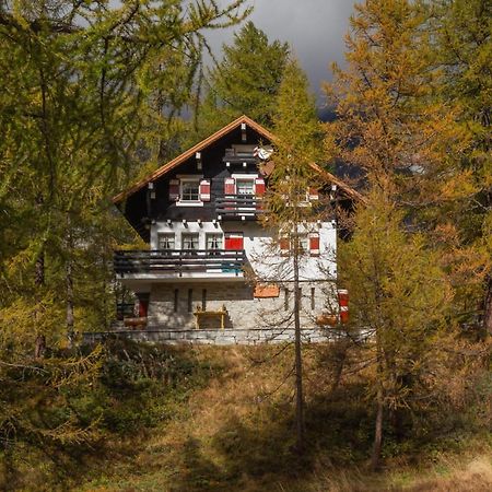 I Larici - Appartamento Per Sognare Alpe Devero Ngoại thất bức ảnh